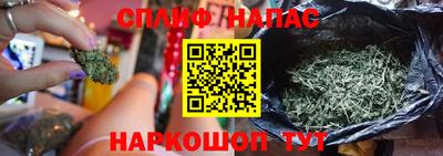 дживик Ливны