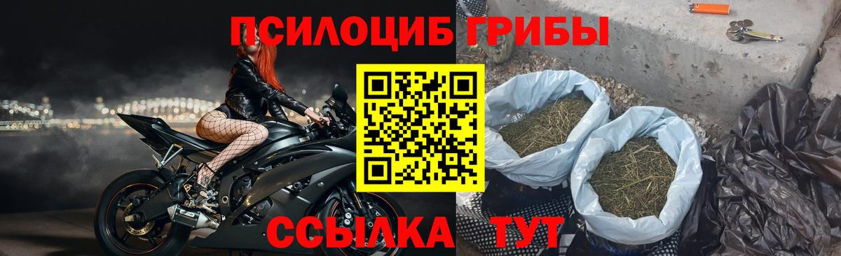 Галлюциногенные грибы GOLDEN TEACHER Тольятти
